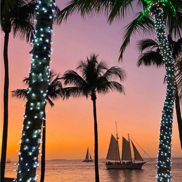 Bundle & Save… Shop till ya Drop - Picture 1 of 1